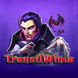 Transil Winia